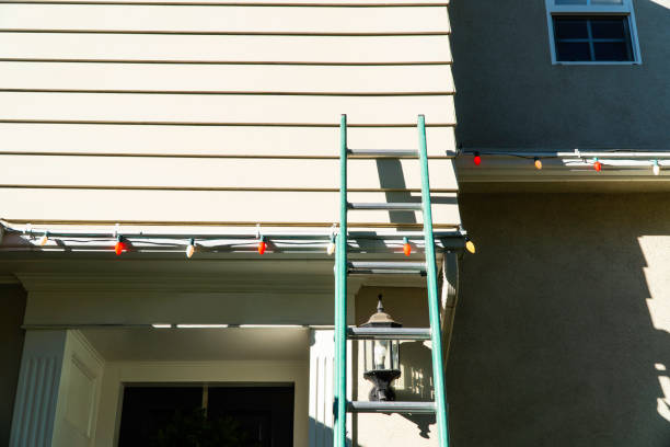 Best Stucco Siding  in Roanoke, AL