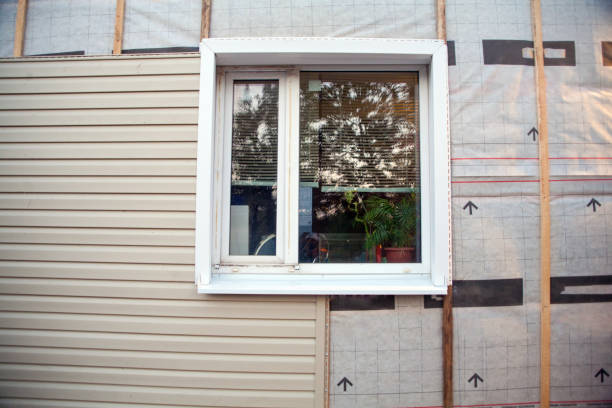 Best Aluminum Siding Installation  in Roanoke, AL