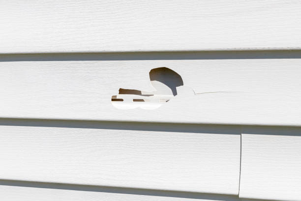 Best Composite Siding  in Roanoke, AL