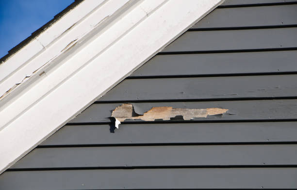 Storm Damage Siding Repair in Roanoke, AL